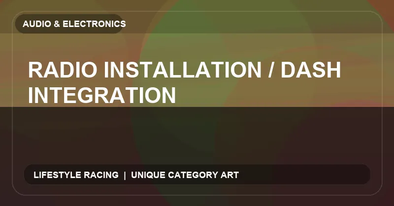 Radio Installation / Dash Integration